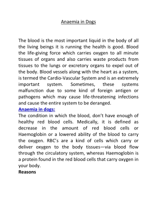 Anaemia in Dogs