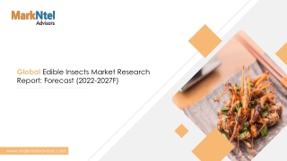 Global Edible Insects Market Analysis - FY27