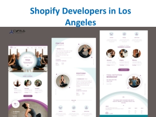 Shopify Developers in Los Angeles