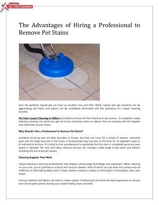 The Advantages of Hiring a Professional to Remove Pet Stains