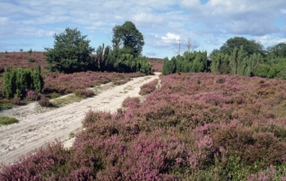 Vakantiepark Overijssel