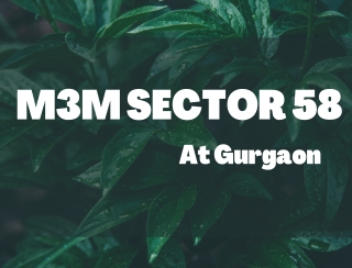 M3M Sector 58 - Gurugram Download Brochure