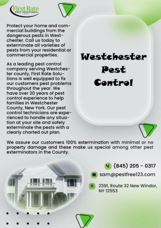 Bee Removal Orange County | Exterminator New Windsor NY