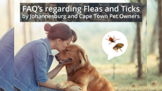 Johannesburg and Cape Town Pet Owners FAQ’s