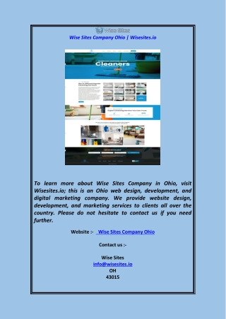 Wise Sites Company Ohio  Wisesites.io