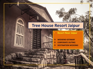 Tree House Resort Jaipur