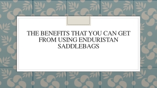 The Benefits That You Can Get From Using Enduristan Saddlebags