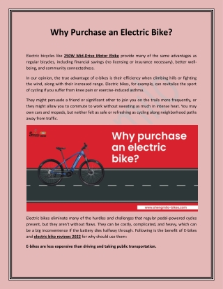 Why Purchase an Electric Bike