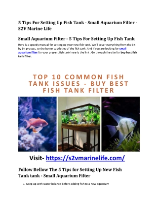 5-Tips-For-Setting-Up-Fish-Tank-–-Small-Aquarium-Filter-–-S2V-Marine-Life