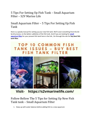 5 Tips For Setting Up Fish Tank – Small Aquarium Filter – S2V Marine Life