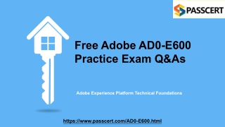 Adobe Experience Platform AD0-E600 Dumps