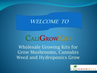 Welcome to Best Grow Kits Supplier - Caligrowkits.com