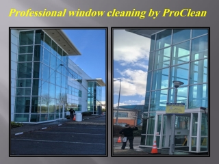 Professional window cleaning by ProClean