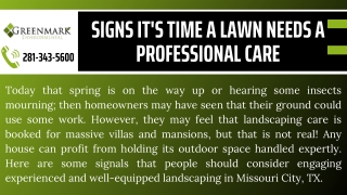 Signs It's Time A Lawn Needs A Professional Care