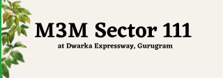 M3M Sector 111 Dwarka Expressway, Gurugram - Fantastic Spread for Beautiful Home