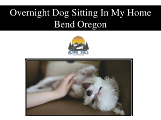 Overnight Dog Sitting In My Home Bend Oregon