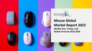 Mouse Industry Outlook, Market Expansion Opportunities through 2031