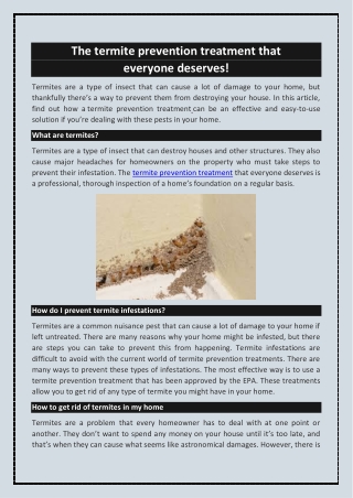 The Best Termite Prevention Treatment Options for Your Home