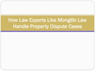 How Law Experts Like Mongillo Law Handle Property Dispute Cases