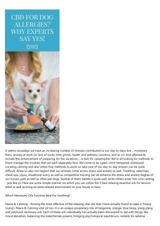 The 3 Best Soothing Important Oils For Animals as well as Humans