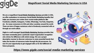 Magnificent Social Media Marketing Services In USA