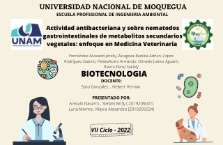 MAPA CONCEPTUAL - Actividad antibacteriana