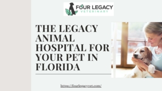 Legacy Animal Hospital In Florida | Four Legacy Veterinary