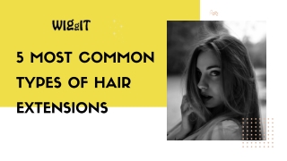 5 Most Common Types of Hair Extensions - WIGgIT