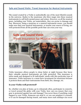 Safe and Sound Violin - Travel Insurance for Musical Instruments