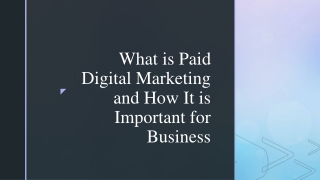 What is Paid Digital Marketing and How It