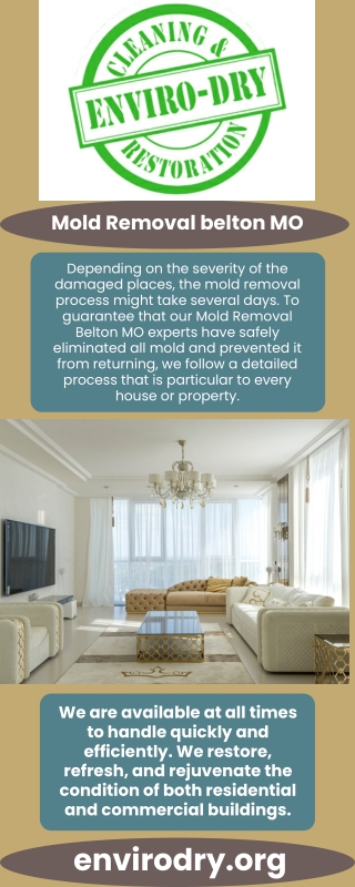 Mold Removal belton MO