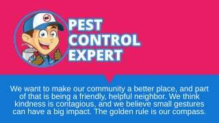 Pest Control Experts