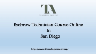 Eyebrow Technician Course Online In San Diego