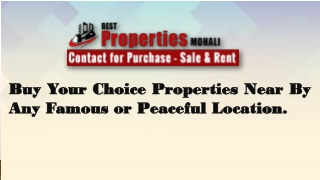 Property dealers in Mohali