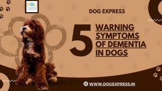 5 Warning Symptoms Of Dementia In Dogs