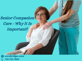 Senior Companion Care - Why It Is Important