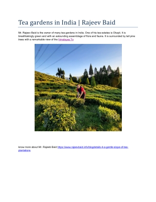 Tea gardens in India | Rajeev Baid
