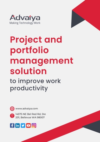 Project and portfolio management solution to improve work productivity