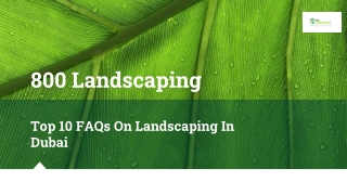 Top 10 FAQs On Landscaping In Dubai