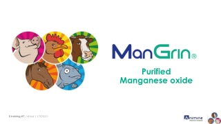 ANIMINE ManGrin positioning