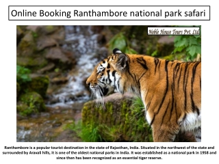 Online Booking Ranthambore national park safari