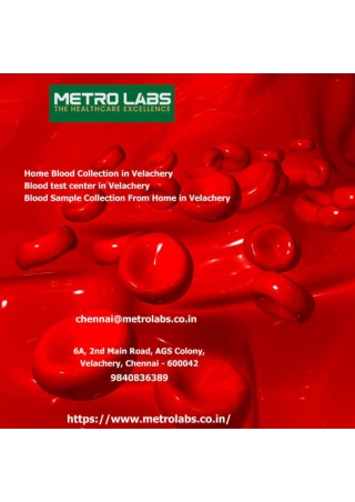 Blood Sample Collection From Home in Velachery (2)