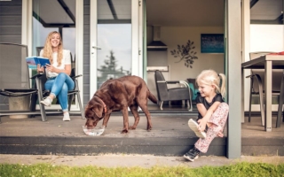 Camping Veluwe met hond