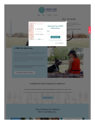 Dog Behaviour Training in Canberra
