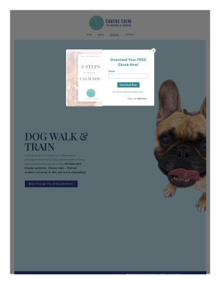 Canberra Dog Trainer & Obedience Training Classes