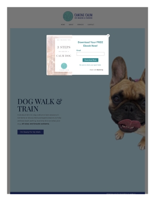 Affordable Dog Walkers in Canberra