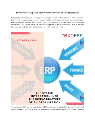 ERP System Integration Into the Infrastructure of an Organization