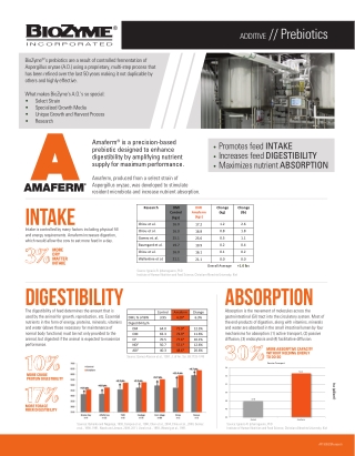 BIOZYME Amaferm SellSheet