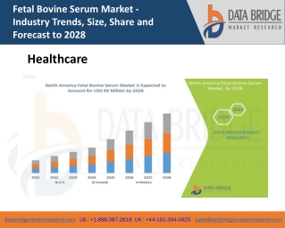 North America Fetal Bovine Serum Market