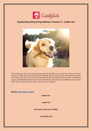 Dog Boarding Sitting